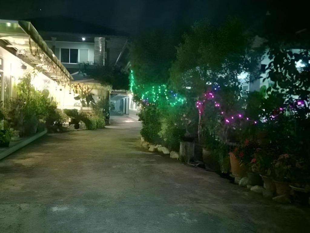 Resort Kacha 2*